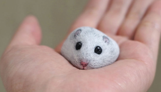 No soy un gato, no me acaricies — el artista revela los personajes únicos de las piedras No soy un gato, no me acaricies — el artista revela los personajes únicos de las piedras