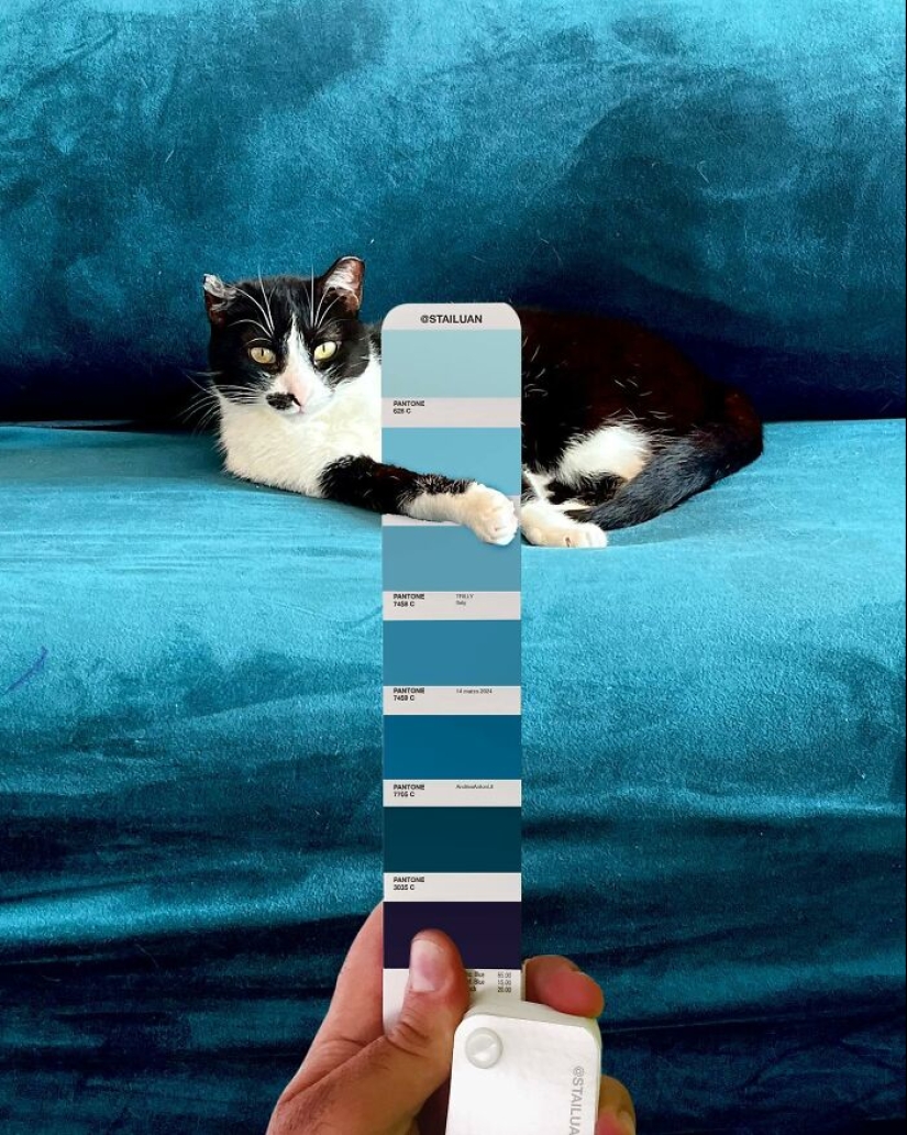 Pantone In The Wild: el diseñador combina los colores Pantone con paisajes y ciudades naturales