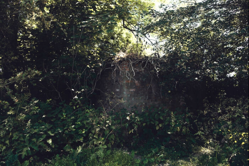 Pasé un año visitando el mismo lugar, una y otra vez Pasé un año visitando el mismo lugar, una y otra vez