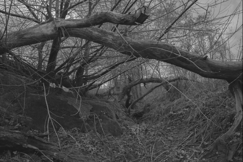 Pasé un año visitando el mismo lugar, una y otra vez Pasé un año visitando el mismo lugar, una y otra vez