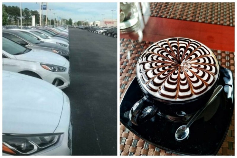 Perfecto hasta el punto de indignación: 25 fotos que harán las delicias de los perfeccionistas