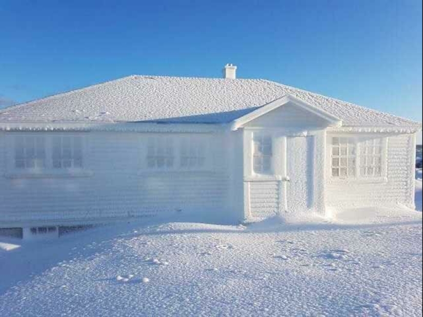 Perfecto hasta el punto de indignación: 25 fotos que harán las delicias de los perfeccionistas