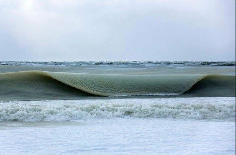 Perfecto hasta el punto de indignación: 25 fotos que harán las delicias de los perfeccionistas