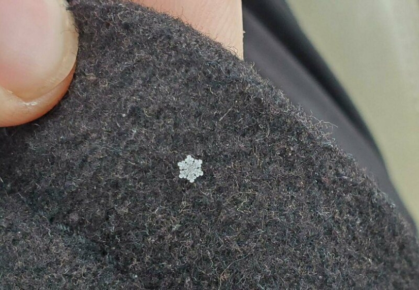 Perfecto hasta el punto de indignación: 25 fotos que harán las delicias de los perfeccionistas