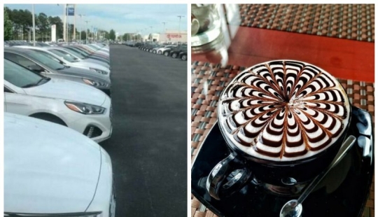 Perfecto hasta el punto de indignación: 25 fotos que harán las delicias de los perfeccionistas