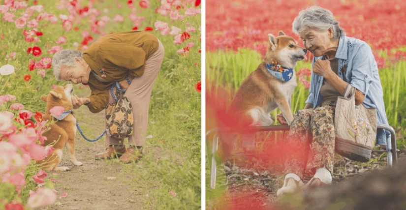 Photographer from Japan makes touching photos of his grandmother and dog Photographer from Japan makes touching photos of his grandmother and dog