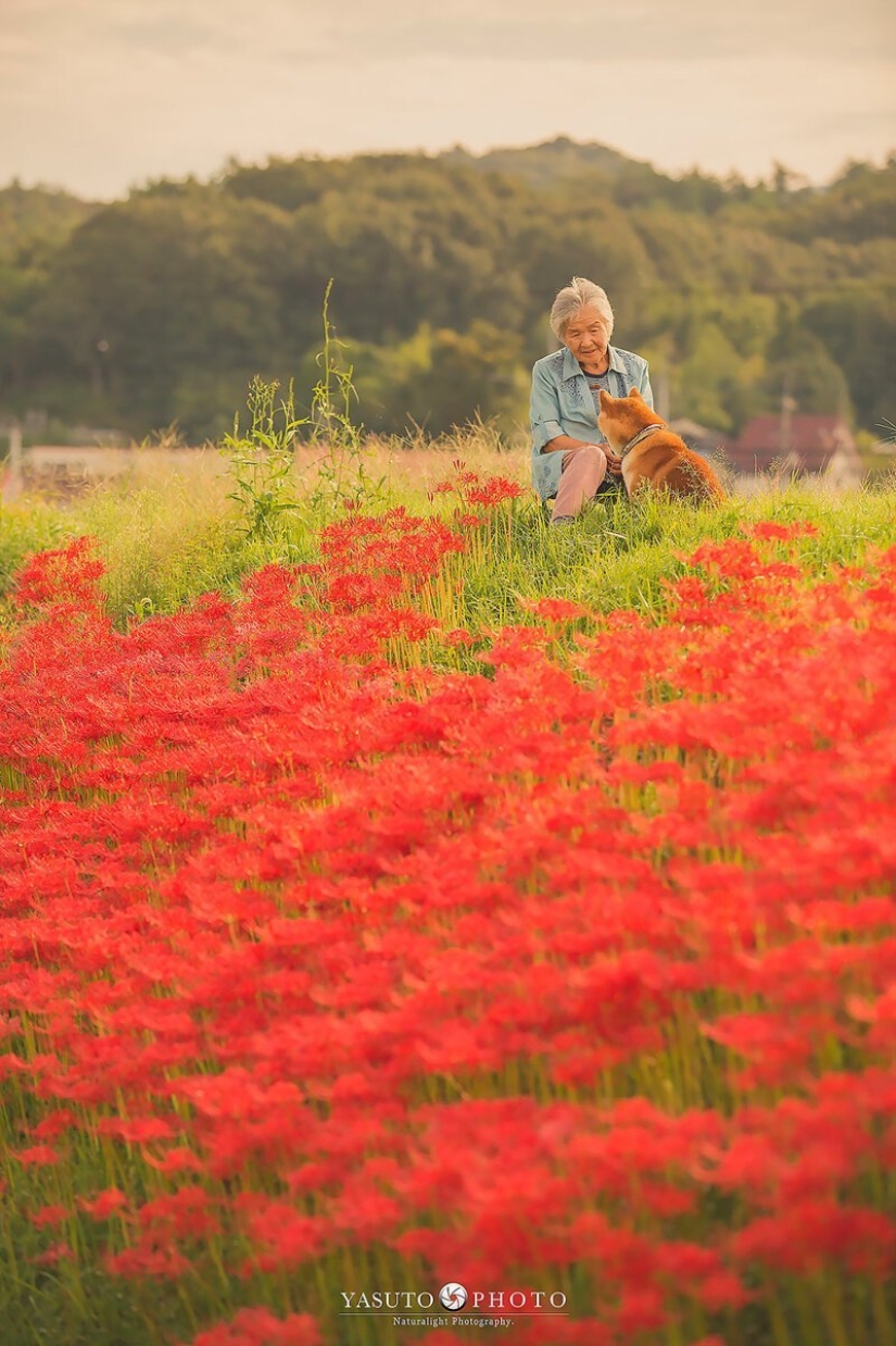 Photographer from Japan makes touching photos of his grandmother and dog Photographer from Japan makes touching photos of his grandmother and dog