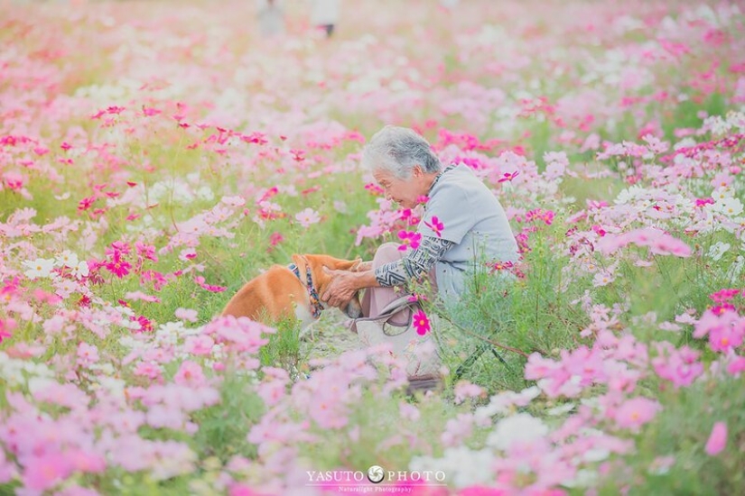 Photographer from Japan makes touching photos of his grandmother and dog Photographer from Japan makes touching photos of his grandmother and dog