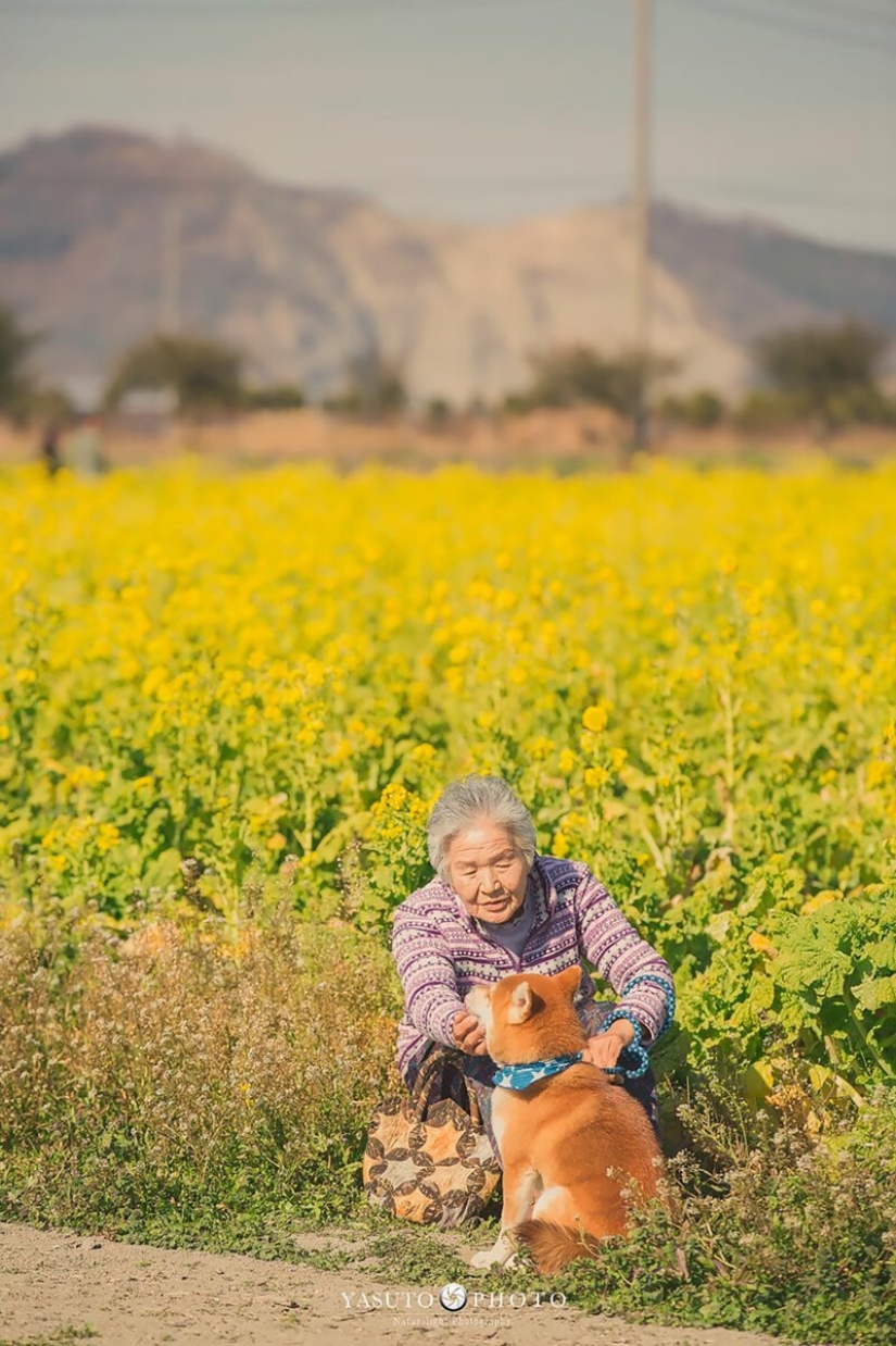 Photographer from Japan makes touching photos of his grandmother and dog Photographer from Japan makes touching photos of his grandmother and dog