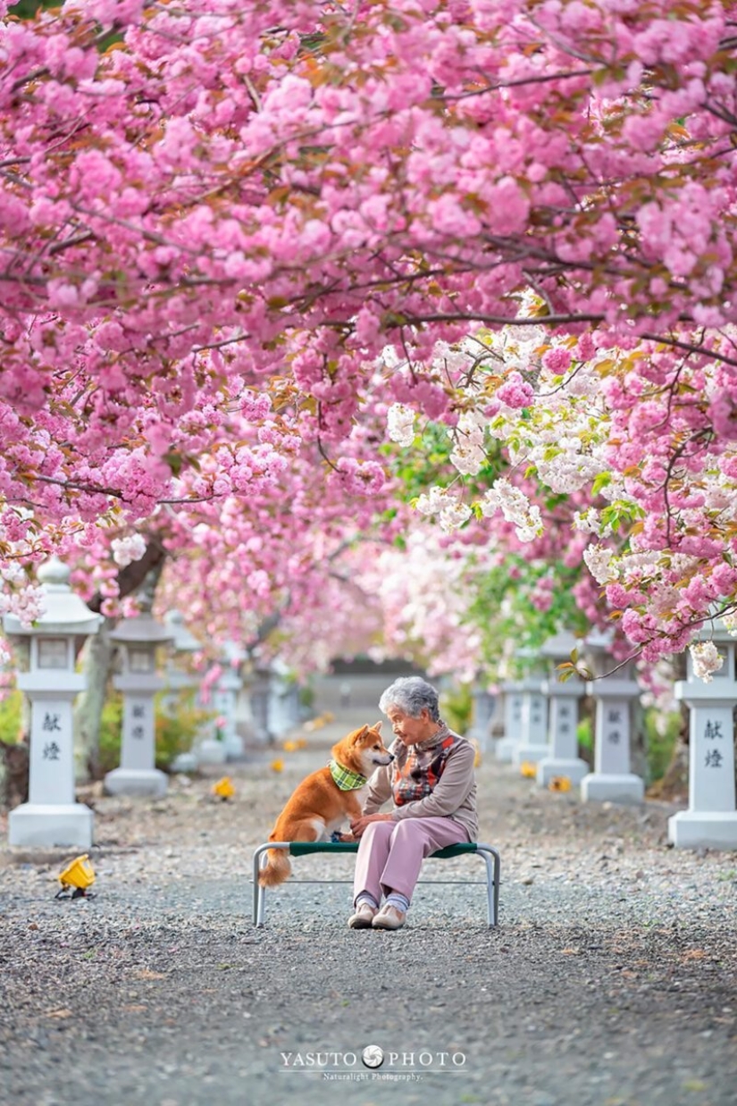 Photographer from Japan makes touching photos of his grandmother and dog Photographer from Japan makes touching photos of his grandmother and dog