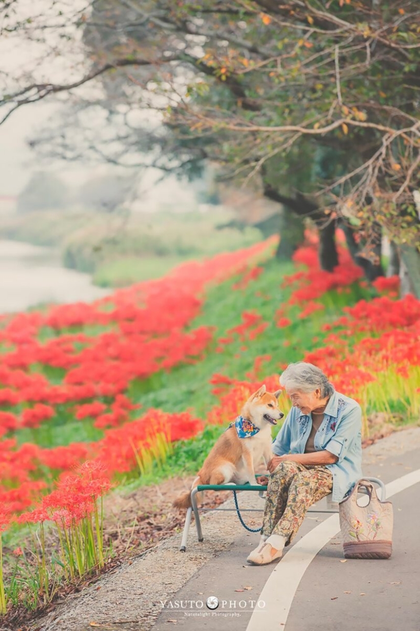 Photographer from Japan makes touching photos of his grandmother and dog Photographer from Japan makes touching photos of his grandmother and dog