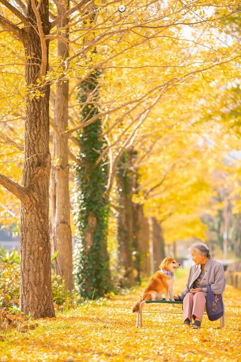 Photographer from Japan makes touching photos of his grandmother and dog Photographer from Japan makes touching photos of his grandmother and dog