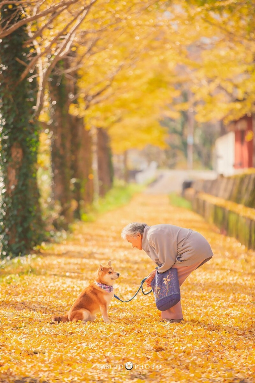 Photographer from Japan makes touching photos of his grandmother and dog Photographer from Japan makes touching photos of his grandmother and dog