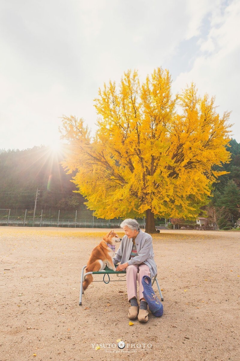 Photographer from Japan makes touching photos of his grandmother and dog Photographer from Japan makes touching photos of his grandmother and dog