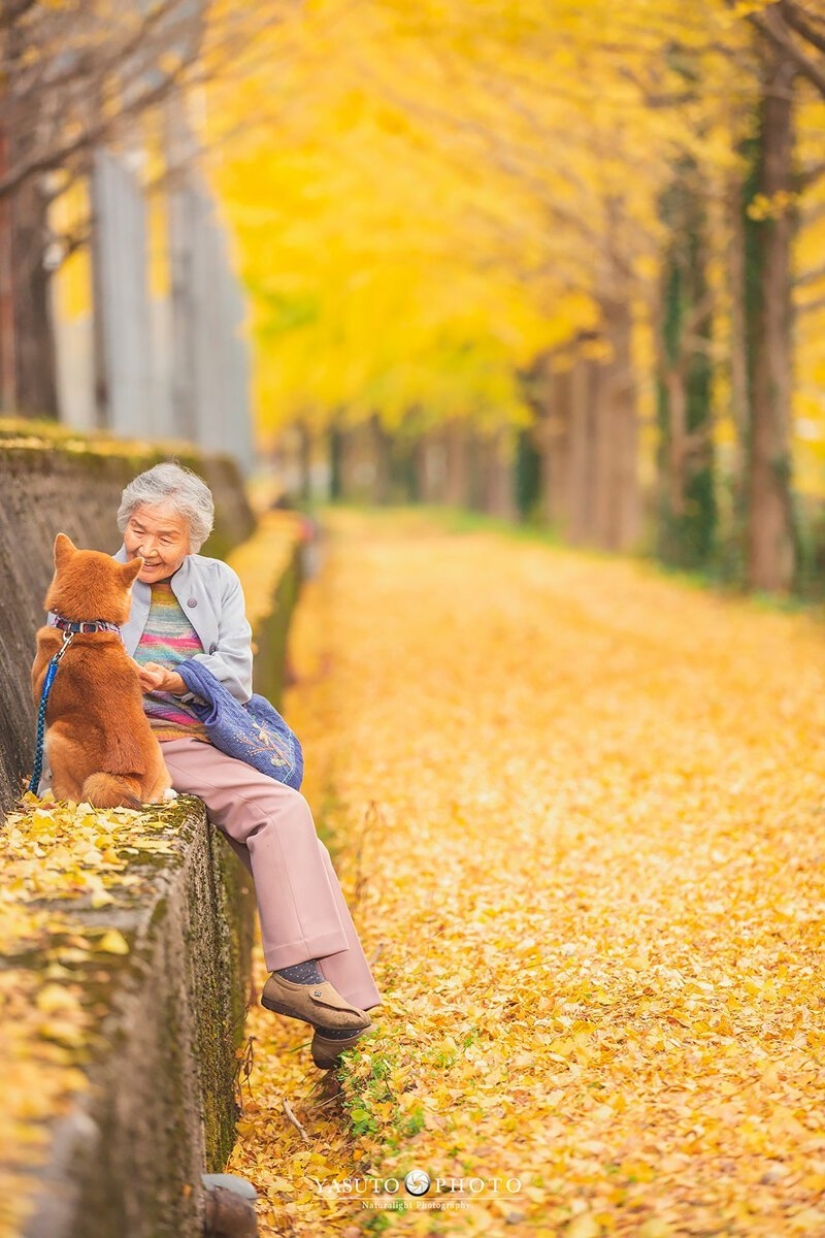 Photographer from Japan makes touching photos of his grandmother and dog Photographer from Japan makes touching photos of his grandmother and dog
