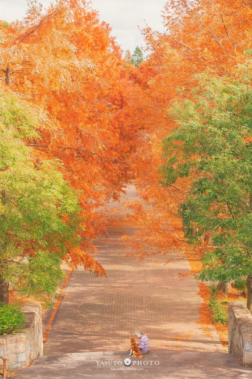 Photographer from Japan makes touching photos of his grandmother and dog Photographer from Japan makes touching photos of his grandmother and dog