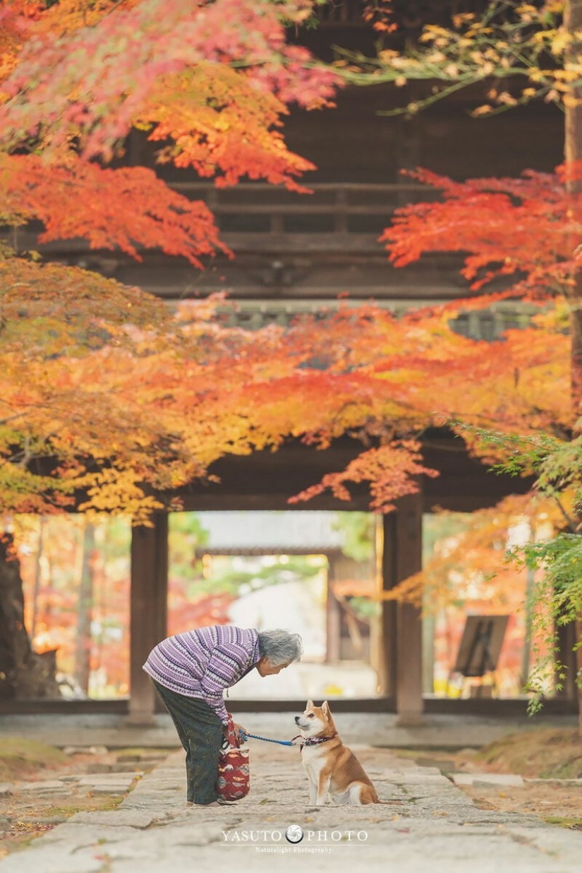 Photographer from Japan makes touching photos of his grandmother and dog Photographer from Japan makes touching photos of his grandmother and dog