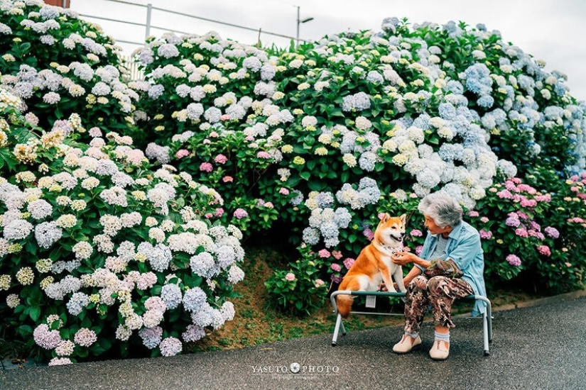 Photographer from Japan makes touching photos of his grandmother and dog Photographer from Japan makes touching photos of his grandmother and dog
