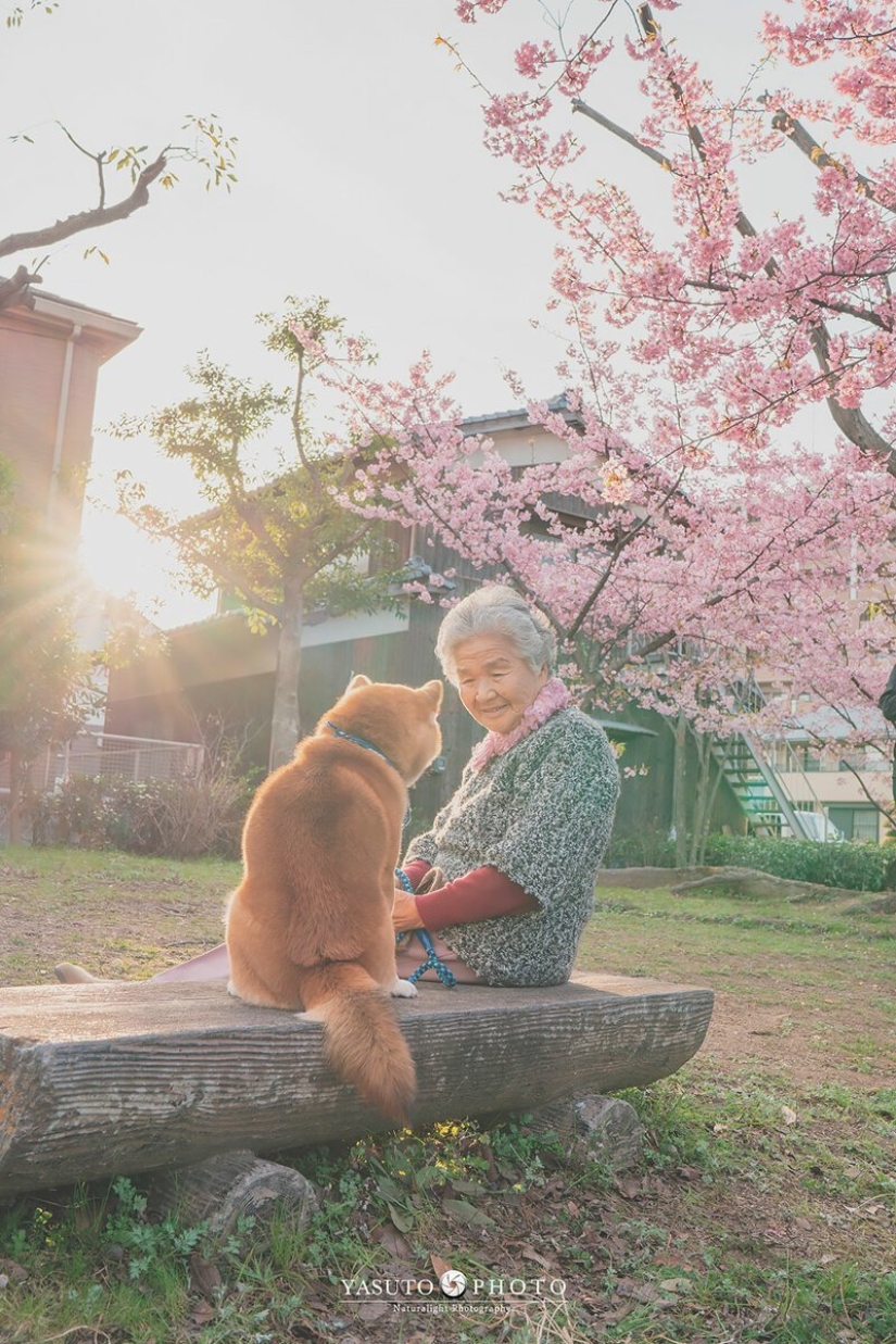 Photographer from Japan makes touching photos of his grandmother and dog Photographer from Japan makes touching photos of his grandmother and dog