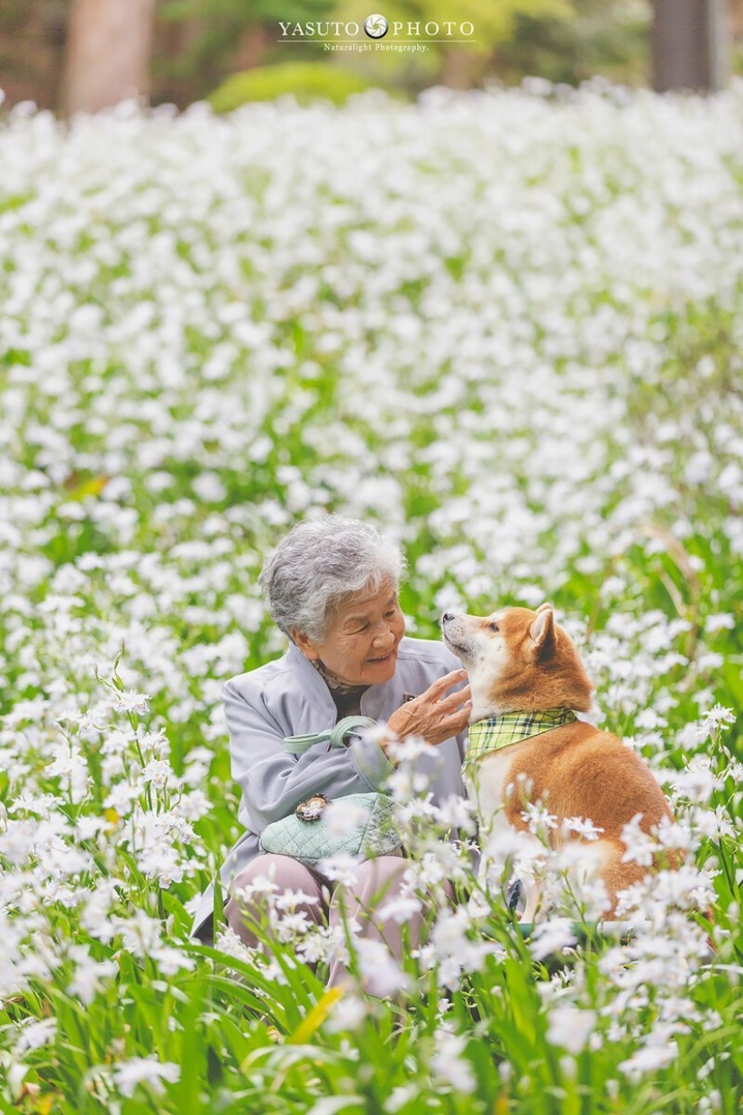 Photographer from Japan makes touching photos of his grandmother and dog Photographer from Japan makes touching photos of his grandmother and dog