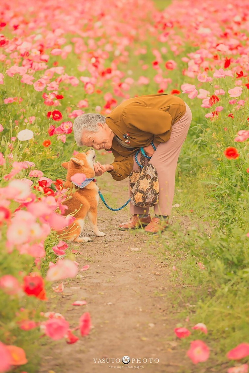 Photographer from Japan makes touching photos of his grandmother and dog Photographer from Japan makes touching photos of his grandmother and dog