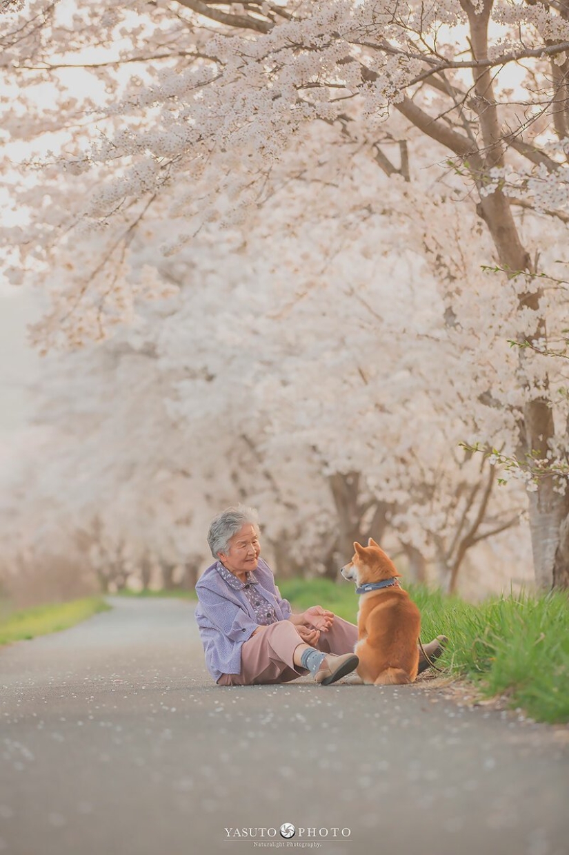 Photographer from Japan makes touching photos of his grandmother and dog Photographer from Japan makes touching photos of his grandmother and dog