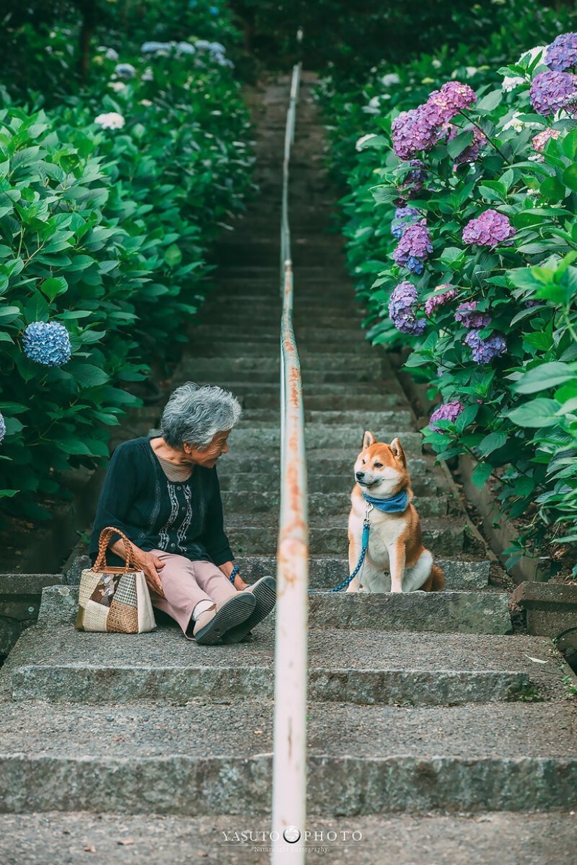 Photographer from Japan makes touching photos of his grandmother and dog Photographer from Japan makes touching photos of his grandmother and dog