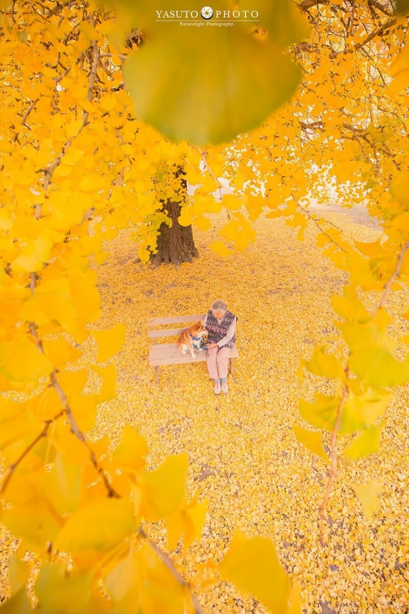 Photographer from Japan makes touching photos of his grandmother and dog Photographer from Japan makes touching photos of his grandmother and dog