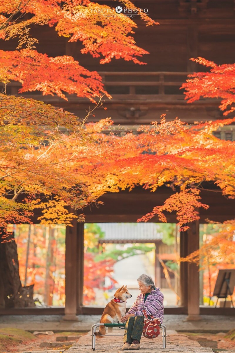 Photographer from Japan makes touching photos of his grandmother and dog Photographer from Japan makes touching photos of his grandmother and dog