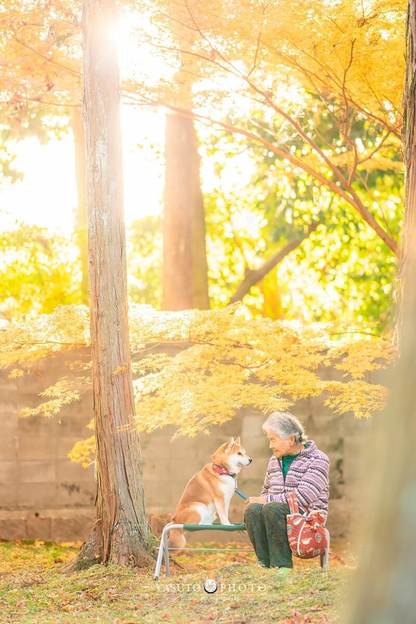 Photographer from Japan makes touching photos of his grandmother and dog Photographer from Japan makes touching photos of his grandmother and dog