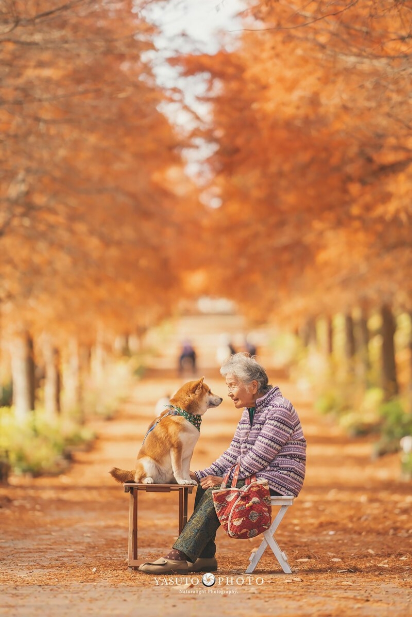 Photographer from Japan makes touching photos of his grandmother and dog Photographer from Japan makes touching photos of his grandmother and dog