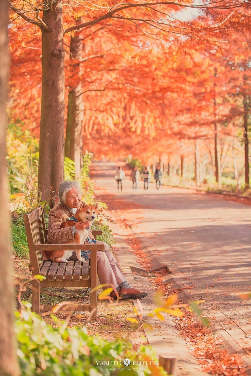 Photographer from Japan makes touching photos of his grandmother and dog Photographer from Japan makes touching photos of his grandmother and dog