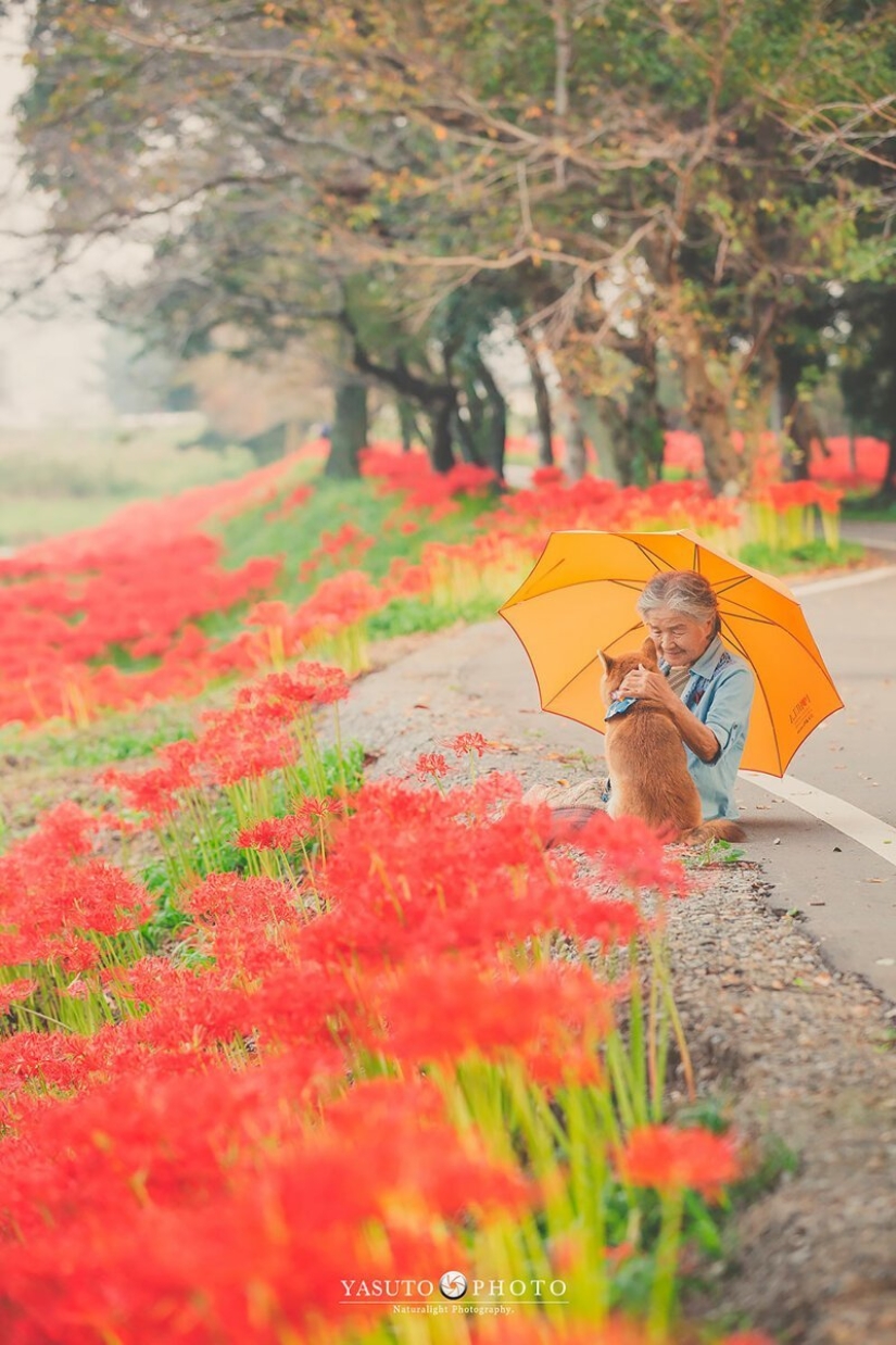 Photographer from Japan makes touching photos of his grandmother and dog Photographer from Japan makes touching photos of his grandmother and dog