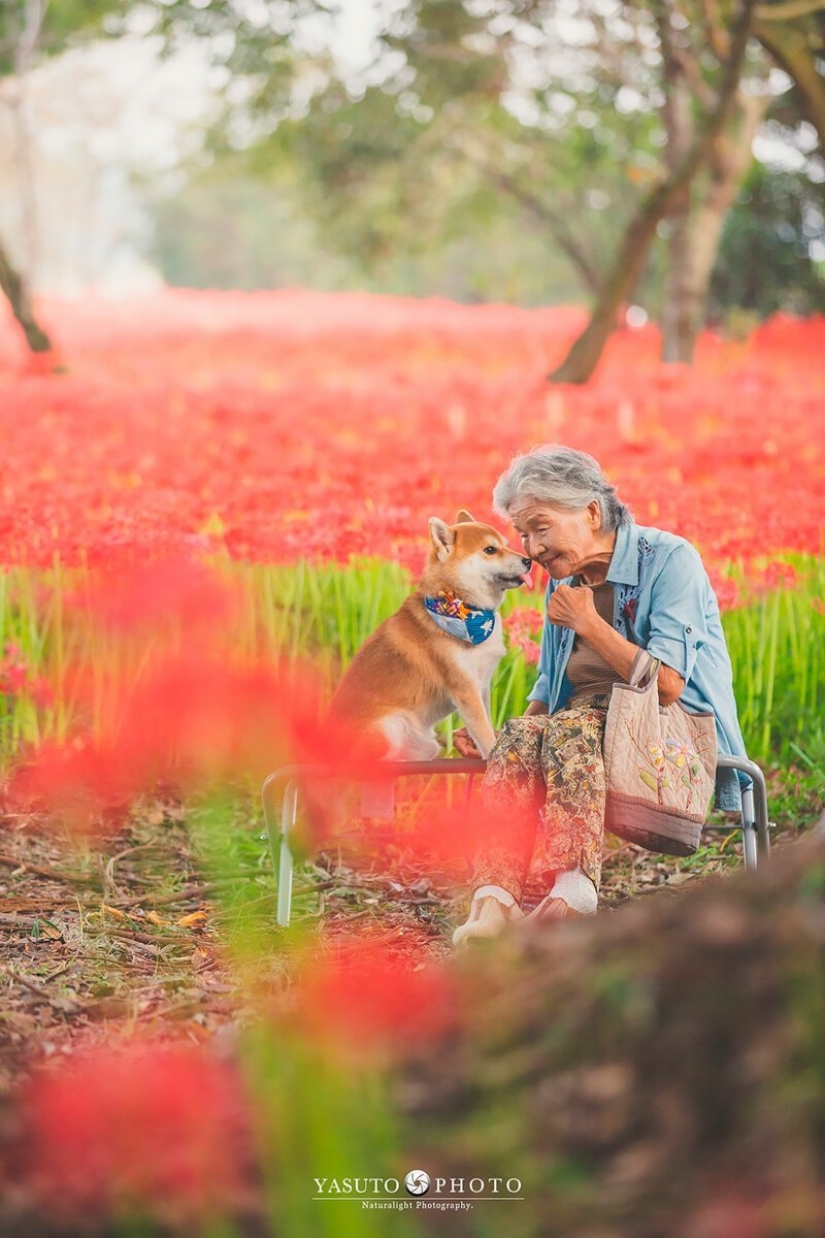 Photographer from Japan makes touching photos of his grandmother and dog Photographer from Japan makes touching photos of his grandmother and dog
