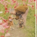 Photographer from Japan makes touching photos of his grandmother and dog Photographer from Japan makes touching photos of his grandmother and dog