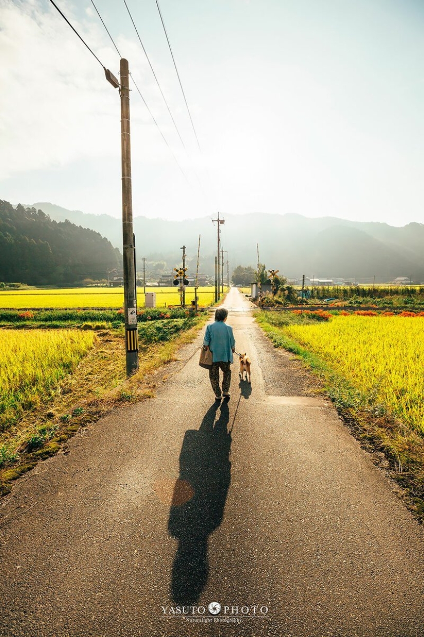 Photographer from Japan makes touching photos of his grandmother and dog Photographer from Japan makes touching photos of his grandmother and dog