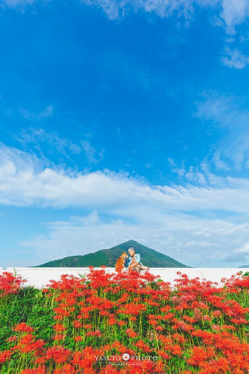 Photographer from Japan makes touching photos of his grandmother and dog Photographer from Japan makes touching photos of his grandmother and dog