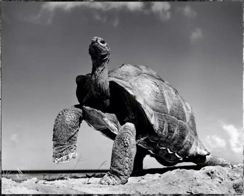 Photos of Gian Paolo Barbieri, who became famous all over the world, shooting female beauty Photos of Gian Paolo Barbieri, who became famous all over the world, shooting female beauty