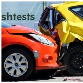 Pigs and dogs are used in crash tests in China Pigs and dogs are used in crash tests in China