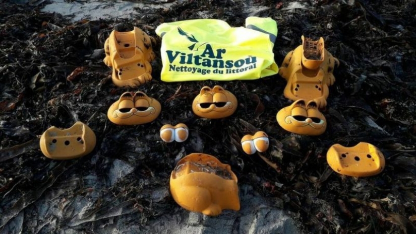 Plastic Garfields have been washed up on the beaches of France for 30 years. The mystery is finally solved! Plastic Garfields have been washed up on the beaches of France for 30 years. The mystery is finally solved!