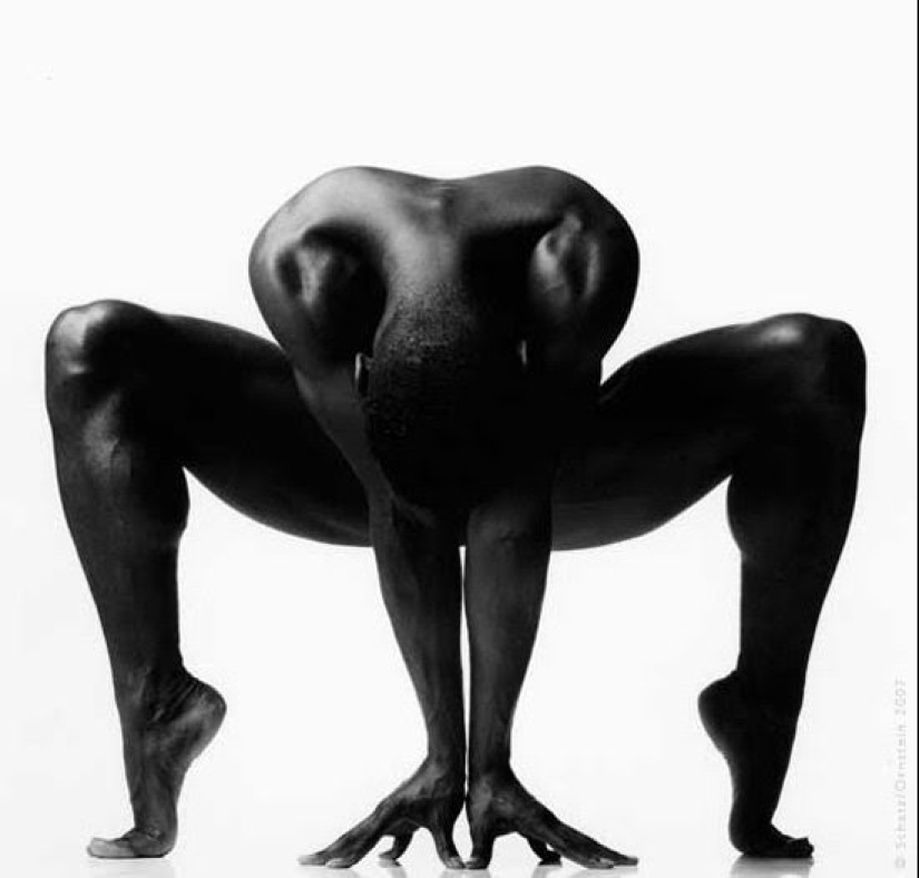 Plastic of the human body in photographs by Howard Schatz Plastic of the human body in photographs by Howard Schatz