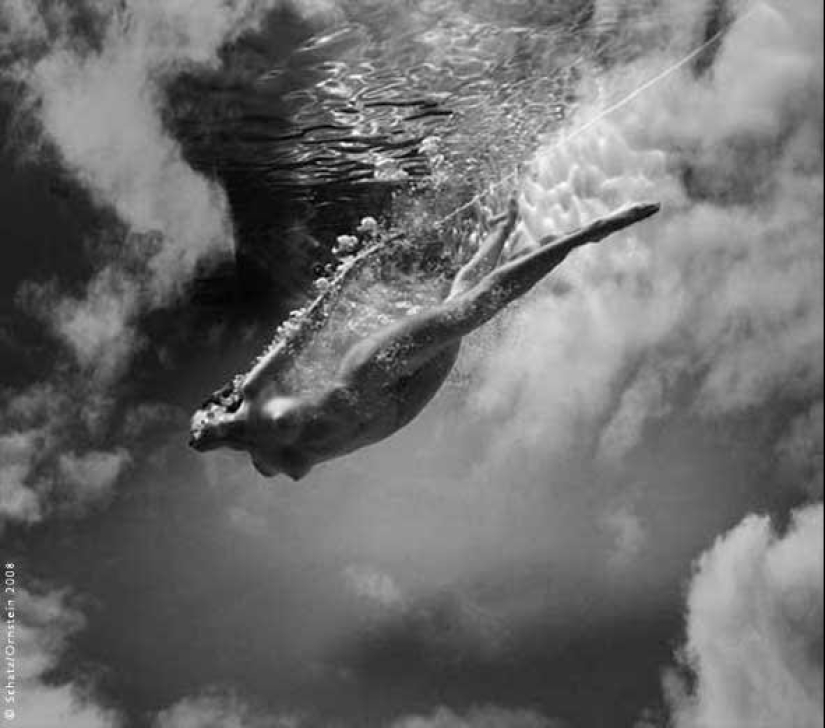 Plastic of the human body in photographs by Howard Schatz Plastic of the human body in photographs by Howard Schatz