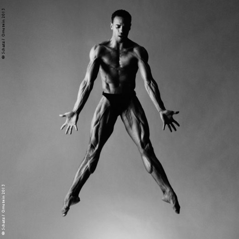 Plastic of the human body in photographs by Howard Schatz Plastic of the human body in photographs by Howard Schatz