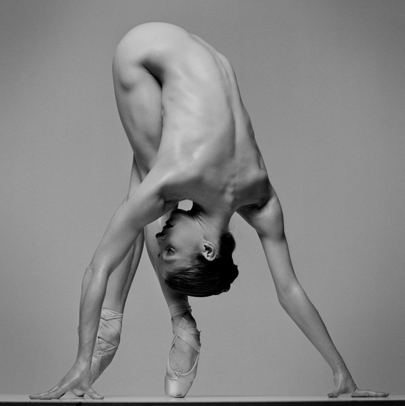 Plastic of the human body in photographs by Howard Schatz Plastic of the human body in photographs by Howard Schatz