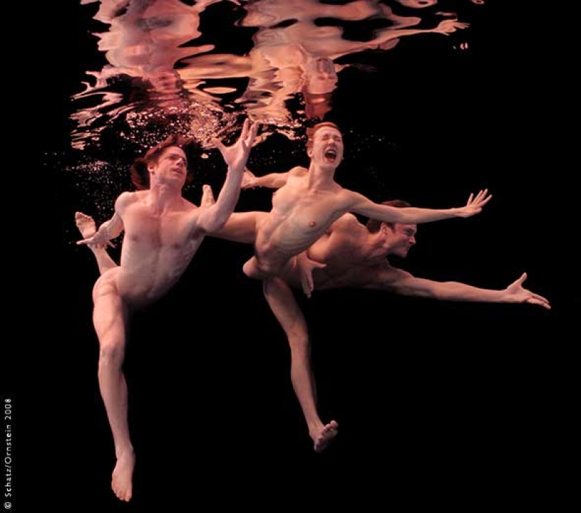 Plastic of the human body in photographs by Howard Schatz Plastic of the human body in photographs by Howard Schatz