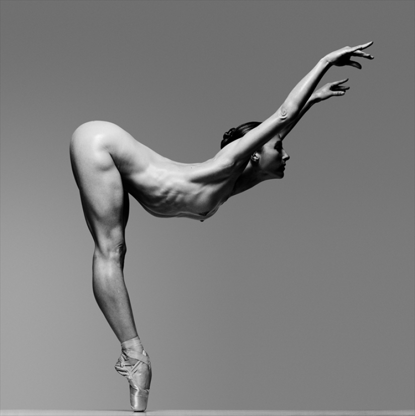 Plastic of the human body in photographs by Howard Schatz Plastic of the human body in photographs by Howard Schatz