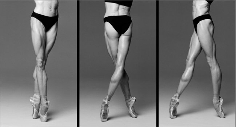 Plastic of the human body in photographs by Howard Schatz Plastic of the human body in photographs by Howard Schatz
