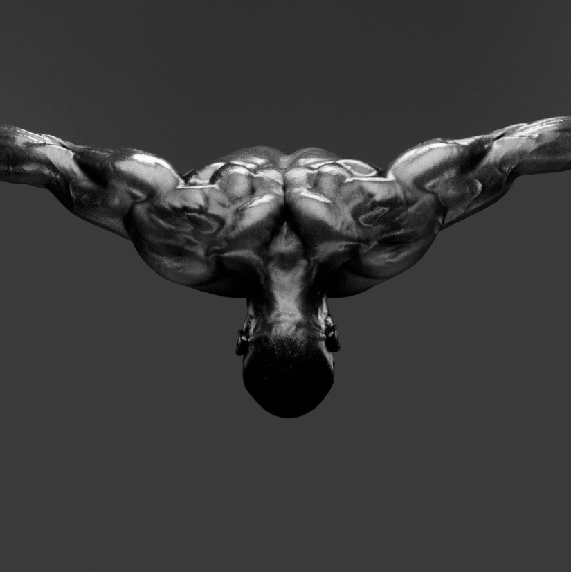 Plastic of the human body in photographs by Howard Schatz Plastic of the human body in photographs by Howard Schatz