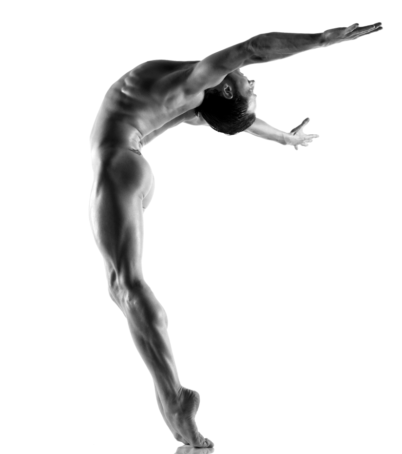 Plastic of the human body in photographs by Howard Schatz Plastic of the human body in photographs by Howard Schatz