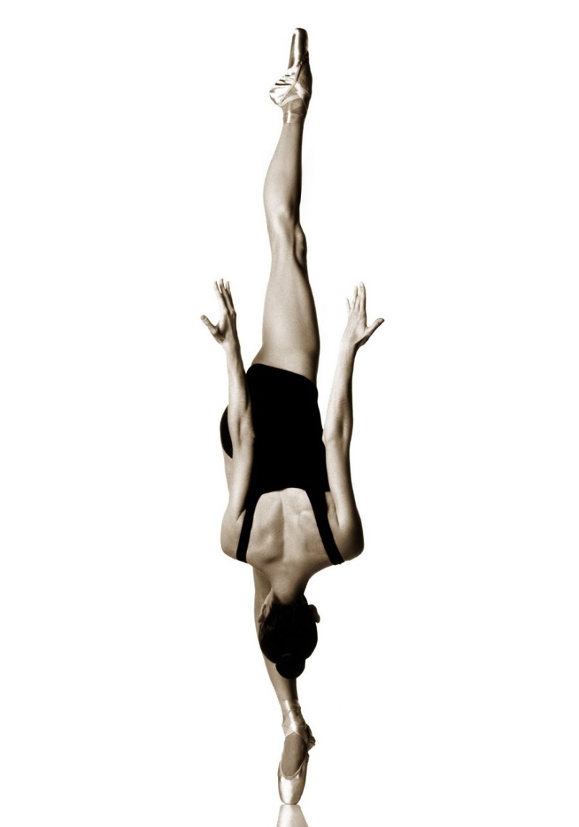Plastic of the human body in photographs by Howard Schatz Plastic of the human body in photographs by Howard Schatz